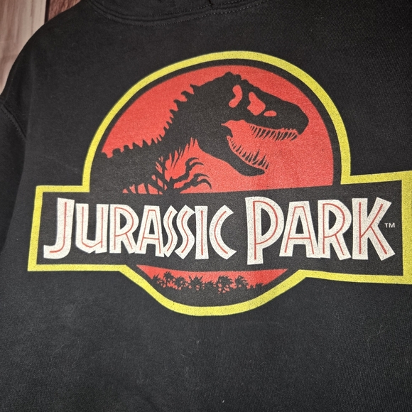Port and Company Universal Studios Black Jurassic Park Hoodie Size Medium - Picture 5 of 6